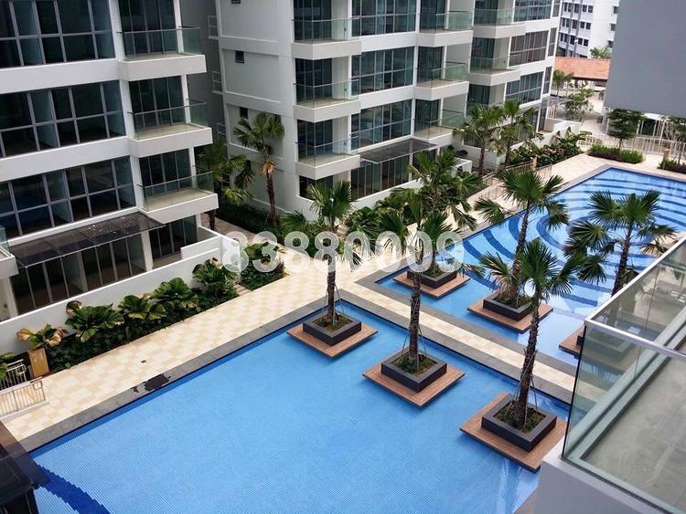 A Treasure Trove (D19), Condominium #71107991